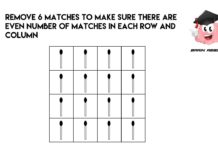 如何去掉图中6根火柴后确保余下的每行和每列火柴数量为偶数?
