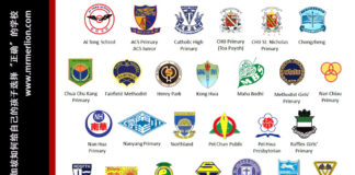 如何在新加坡为自己的孩子选择“正确”的小学 如何选择新加坡的小学