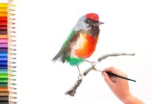 水彩画基础教程,如何用水彩画画小鸟