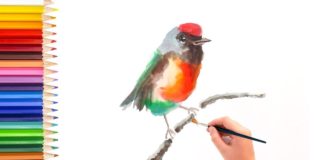 水彩画基础教程,如何用水彩画画小鸟