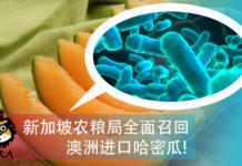 新加坡召回所有澳洲进口哈密瓜!(Listeria Rockmelon) 新加坡召回澳洲李斯特林细菌感染的哈密瓜