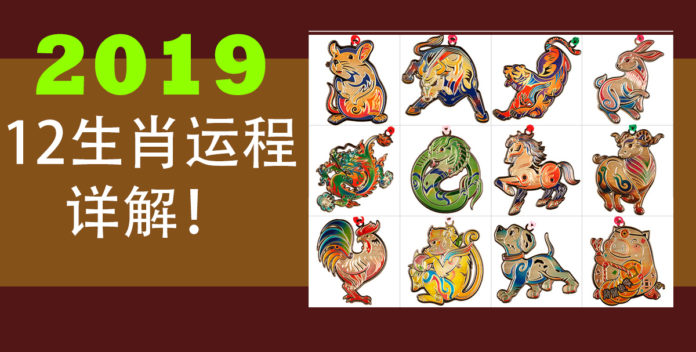 2019 12生肖运程详解
