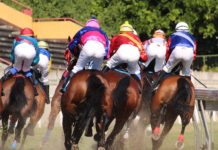 新加坡博彩(Singapore Pools)将于2019年1月7日起接管新加坡赛马公会的投注运营 新加坡赛马