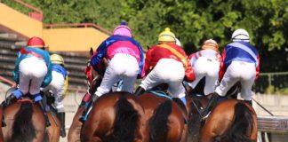 新加坡博彩(Singapore Pools)将于2019年1月7日起接管新加坡赛马公会的投注运营 新加坡赛马