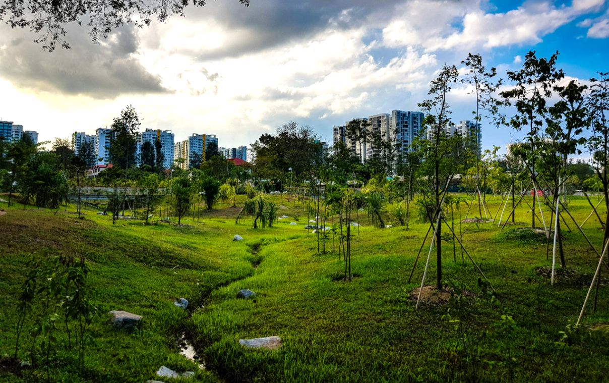 新加坡湖畔花园开放
