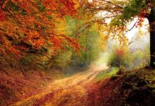 一组让人窒息的绝美的自然景观