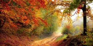 一组让人窒息的绝美的自然景观