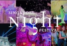 迈入第12个年头的新加坡仲夏夜空8月23日开始! 2019新加坡仲夏夜空