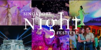 迈入第12个年头的新加坡仲夏夜空8月23日开始! 2019新加坡仲夏夜空