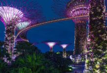 2019来看看十大新加坡免费景点!一定不要错过 2019新加坡免费旅游景点