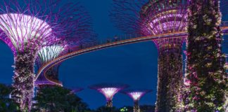 2019来看看十大新加坡免费景点!一定不要错过 2019新加坡免费旅游景点