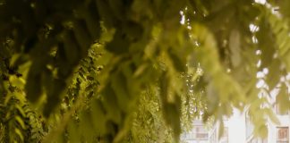 最新更新关于法规禁止新加坡电动滑板车在人行横道使用 e scooter ban singapore