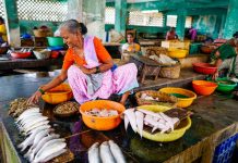 印度新冠病毒最新,印度面临新冠病毒的威胁与日俱增 印度新冠病毒