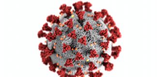 2019冠状病毒疾病 (COVID-19)7月15日最新情况 新冠病毒突变