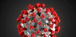 截至今天15日中午,新加坡新增1起新冠病毒本地感染病例 新冠确诊病例