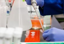 10月26日新加坡新增1起新冠病毒感染病例 冠病检测