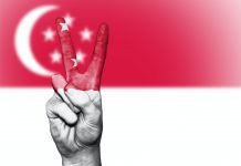 2020新加坡大选辩论 新加坡大选辩论