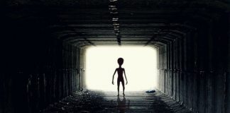 前宇航员爆料:“外星人很可能现在就在这里” 外星人存在