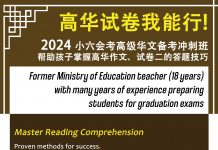 您不可以错过的2024新加坡PSLE的忠告 2024新加坡PSLE高级华文补习